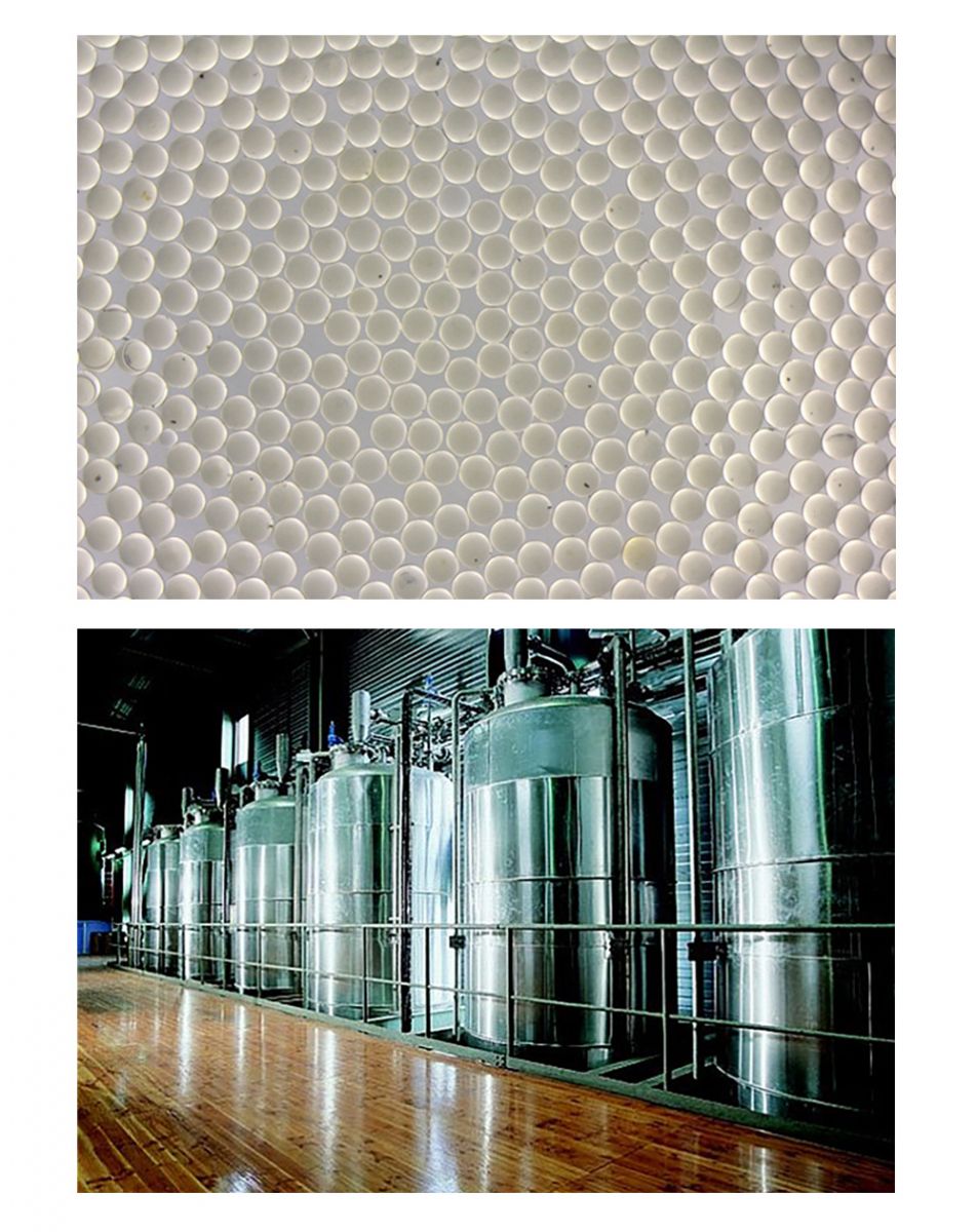 英国·威廉希尔(williamhill)唯一中文官方网站