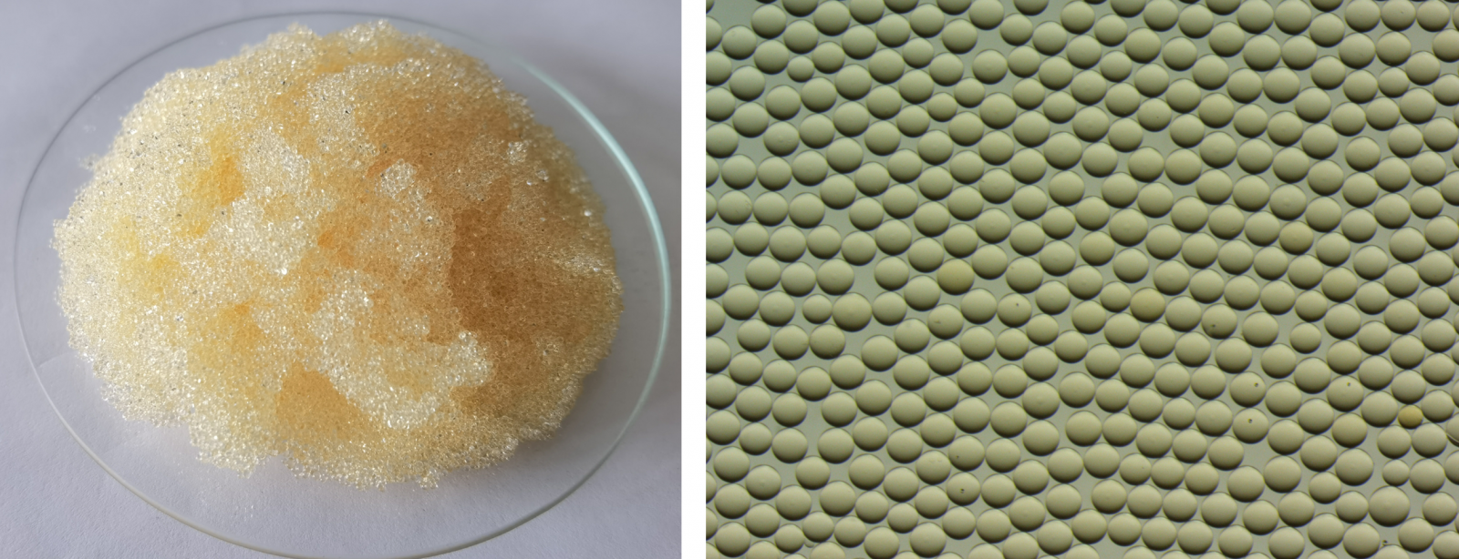 英国·威廉希尔(williamhill)唯一中文官方网站